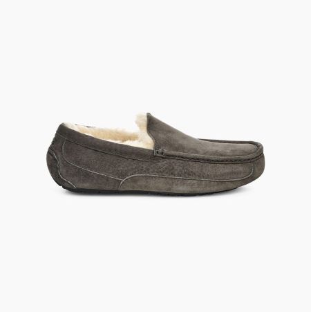 UGG Ascot Deep Grey Slippers for Men (SCAJ01985)